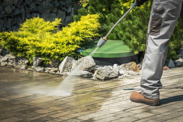 Best Boat and Dock Cleaning  in Zeigler, IL