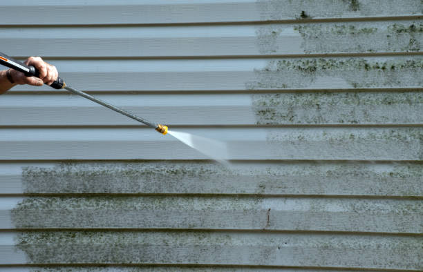 Best Driveway Pressure Washing  in Zeigler, IL